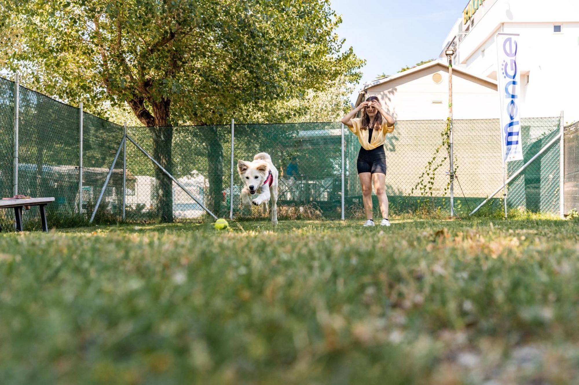 Club Del Sole Riccione Easy Camping Village Extérieur photo